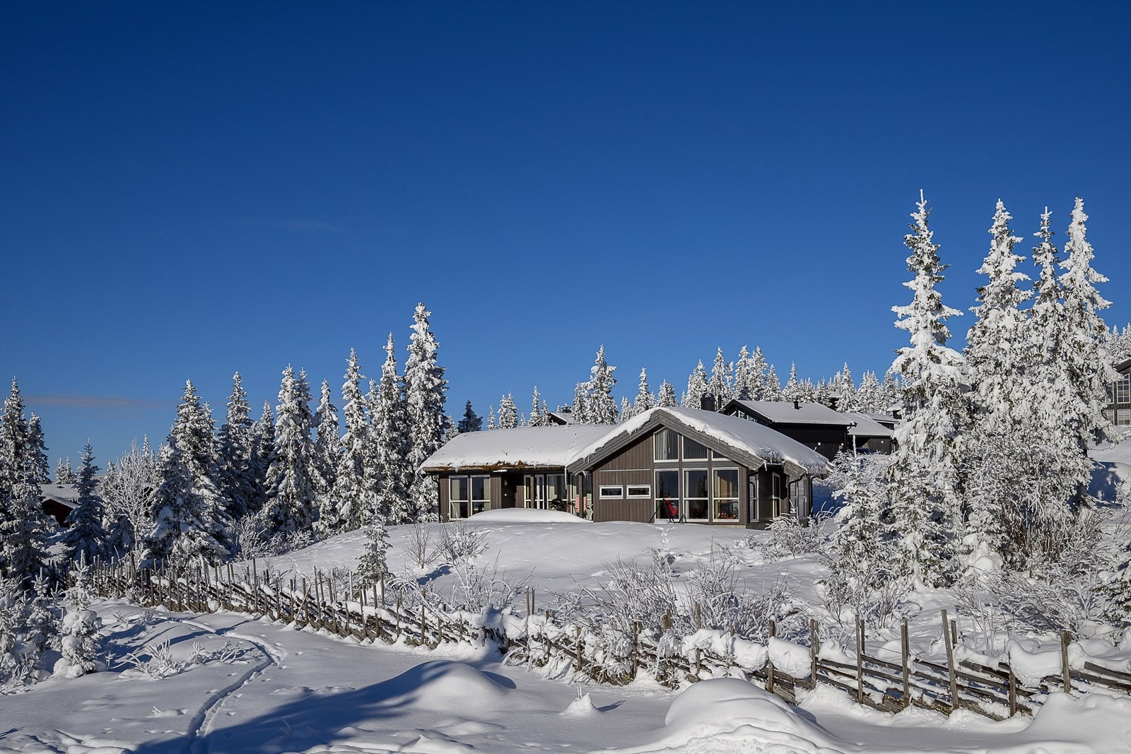 Fasaden har stående, behandlet trepanel og store vindusflater som slipper naturen inn. Galleribilde