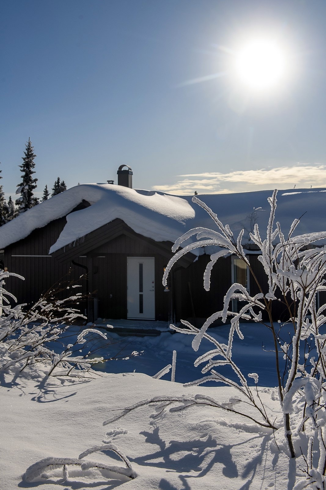 Ytterdøren er en behandlet heltre dør fra byggeåret. Galleribilde