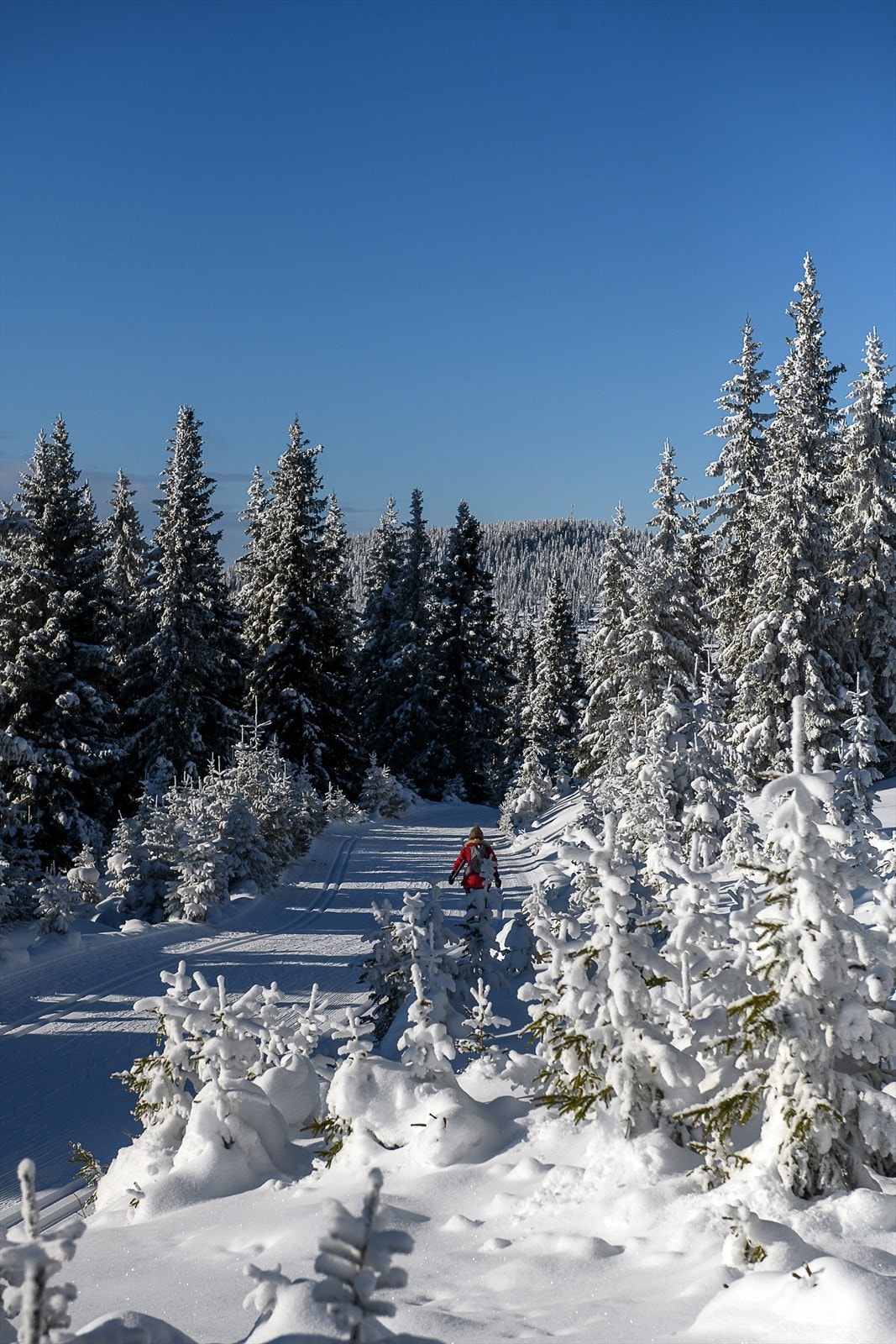 Området byr på et løypenett på over 1000 km, med Sjusjøen Langrennsarena kun 10 minutter unna. Galleribilde