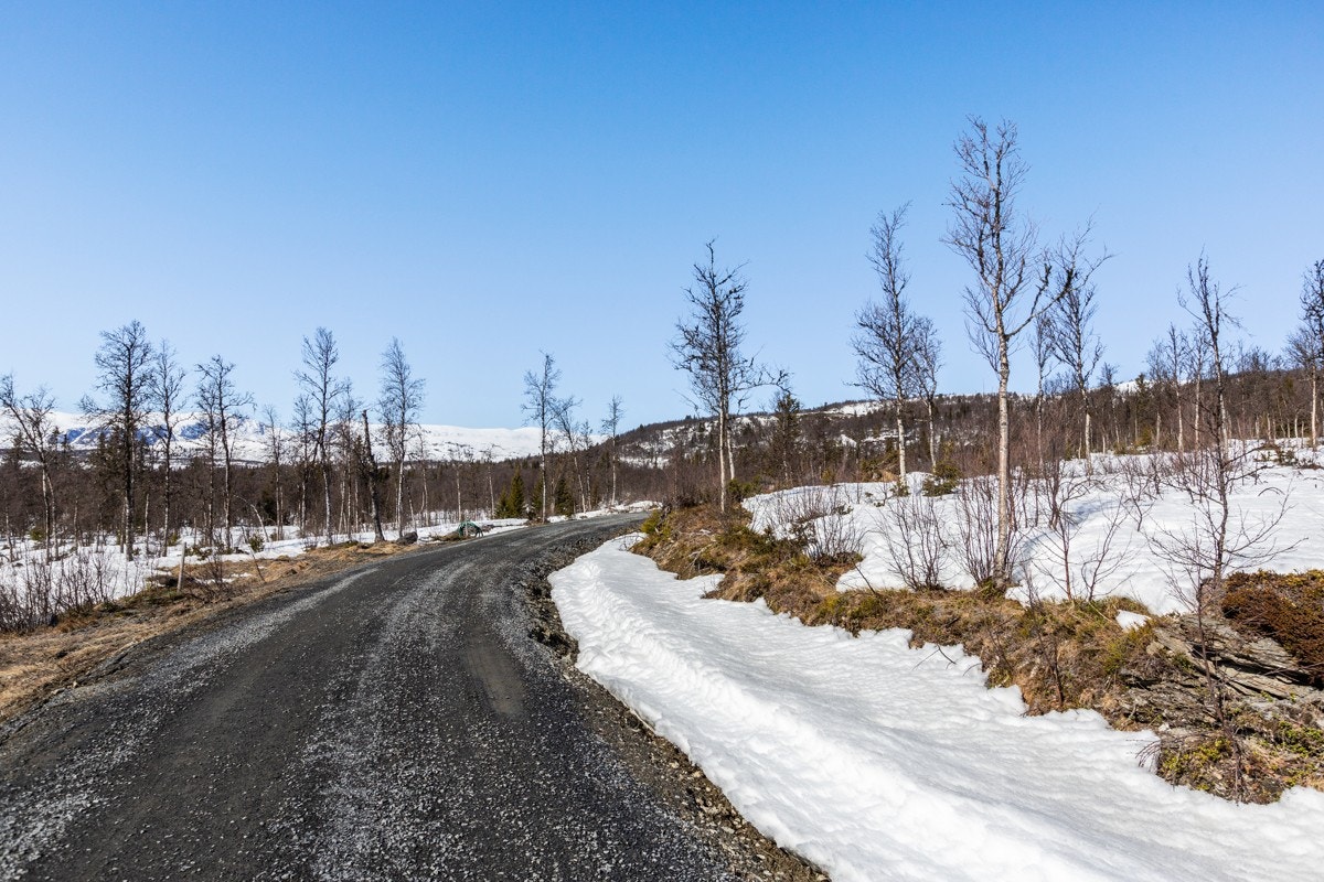 De mange stølsveiene er et eldorado for alle sykkelinteresserte, og "Mjølkevegen", sykkelruta fra Gudbrandsdalen over til Hallingdal, går like forbi. (Bilde tatt mot tomt T8) Galleribilde