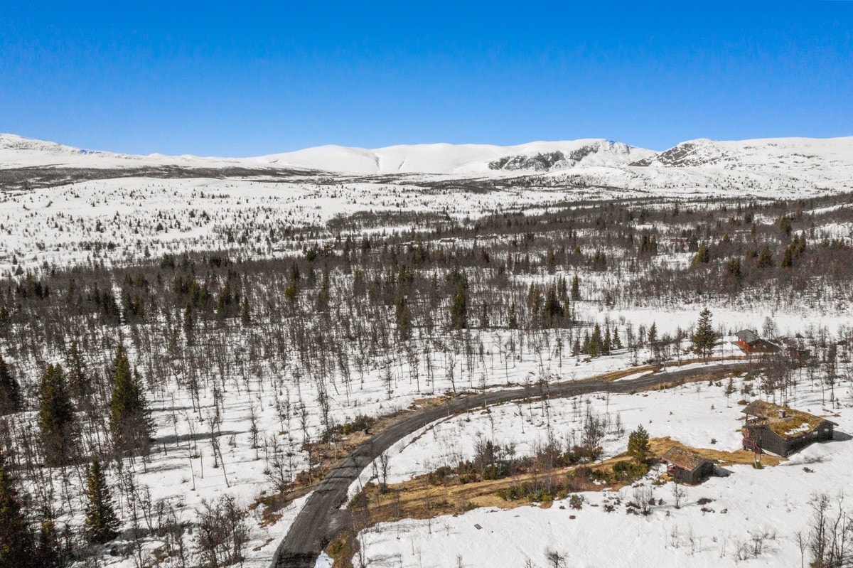 Hyttetomtene ligger på Lehovd hvor en er omgitt av nydelig turterreng uansett årstid. Grønsennknippa og Syndisfjellet er bare to av mange flotte turmål i området. Galleribilde