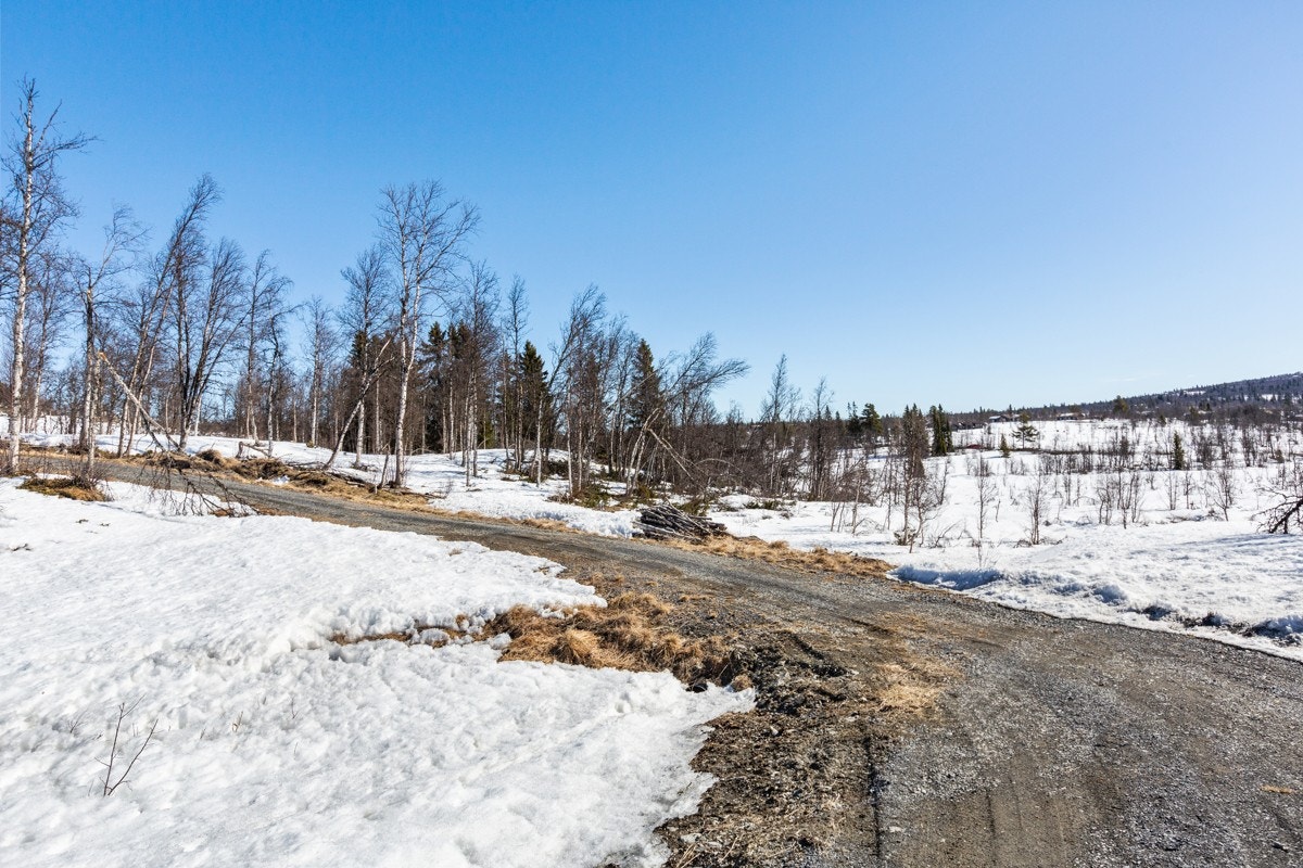 Bilde tatt mot tomt T18. Galleribilde
