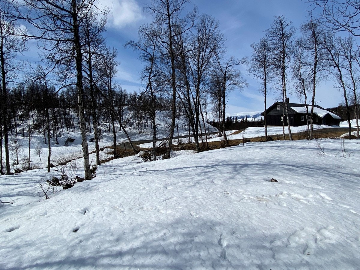 Lehøvd er et trivelig område med spredt hyttebebyggelse og store åpne arealer med utrør natur. (Tomt T18.) Galleribilde