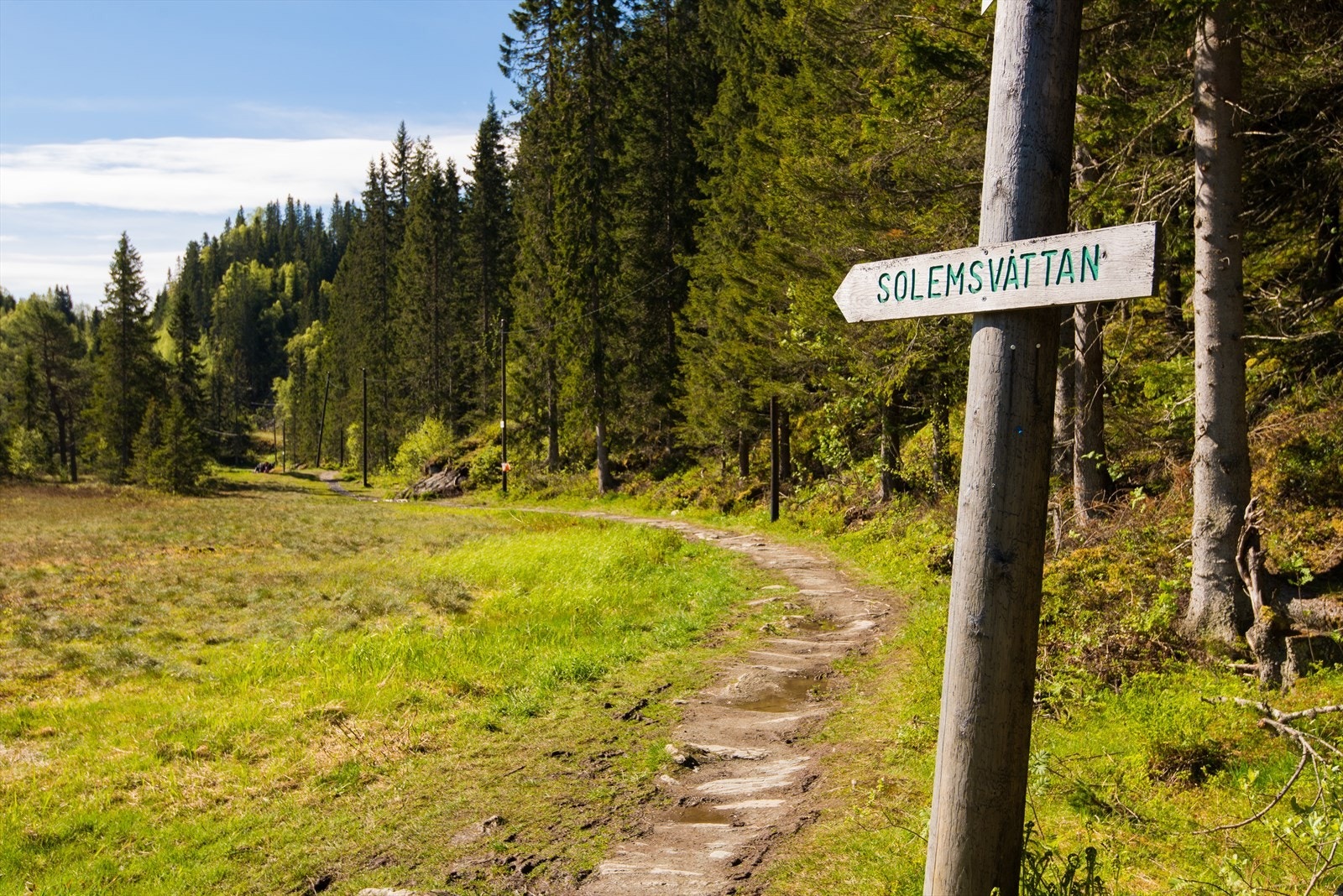 Solemsvåttan er et populært turmål i nærområdet og byr på spektakulær utsikt over Jonsvatnet, Trondheim sentrum og fjorden. Galleribilde