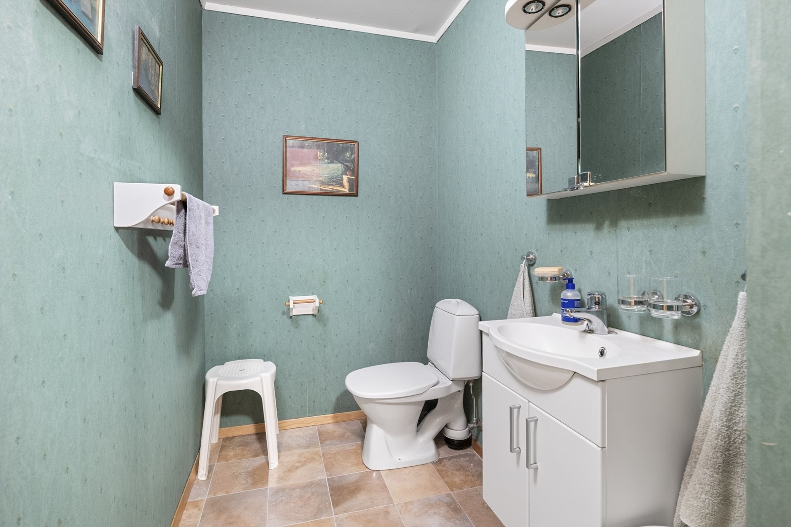 - Det er også gjestetoalett med adkomst fra entréen - Galleribilde