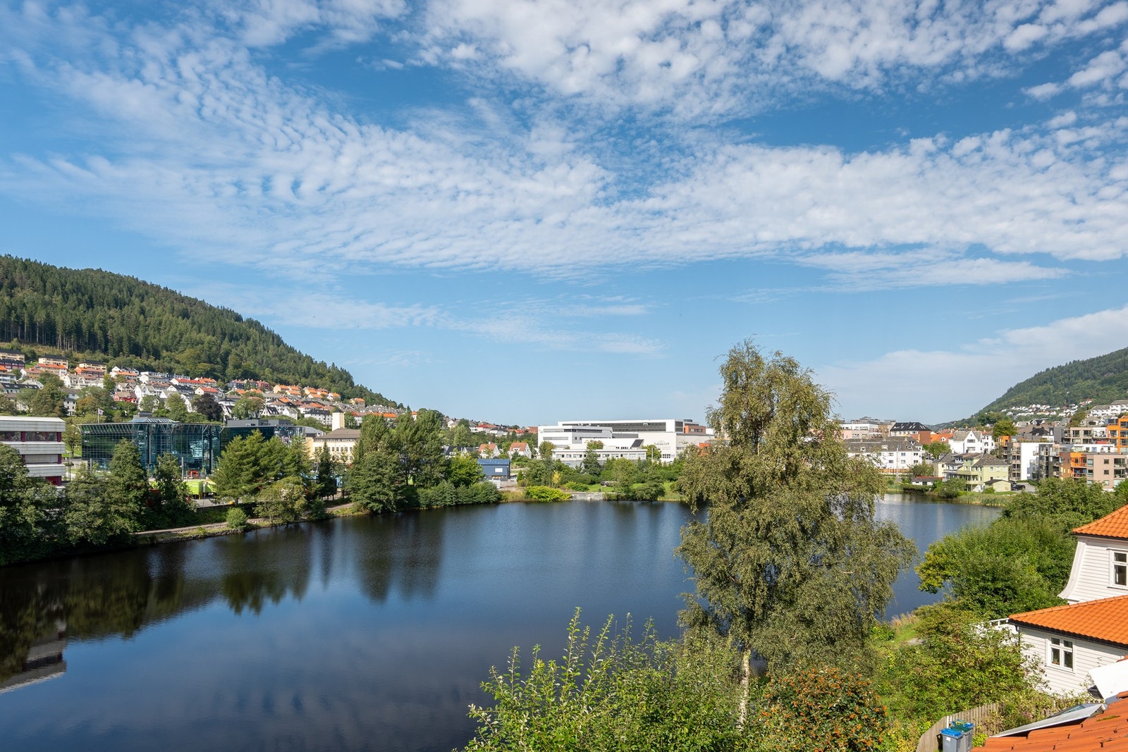 I nærheten er det flere lekre uteområder som Solheimsvannet, Leaparken og Store Lungegårdsvann. Galleribilde