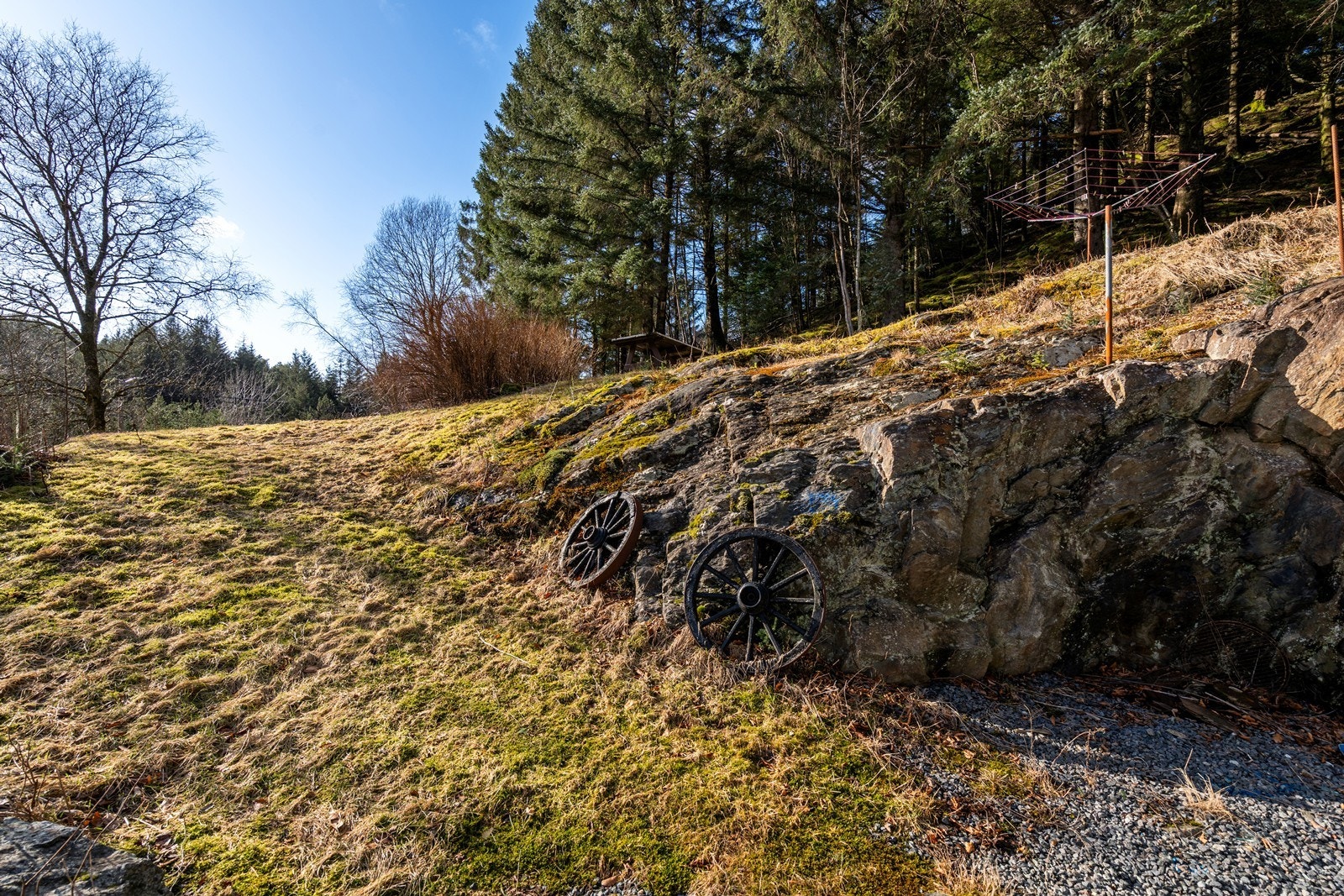 Herlige uteområde til å boltre seg på Galleribilde