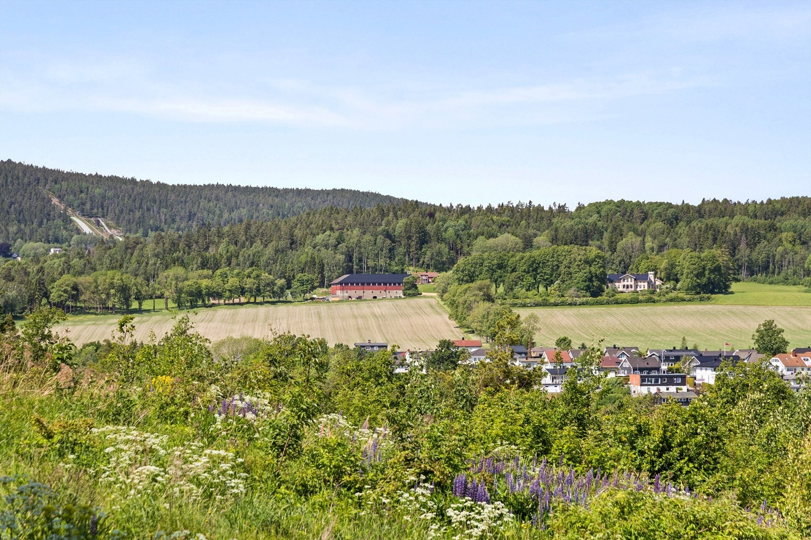 Utsikt mot flotte Store Solum gård - her har de til tider blomsterutsalg Galleribilde