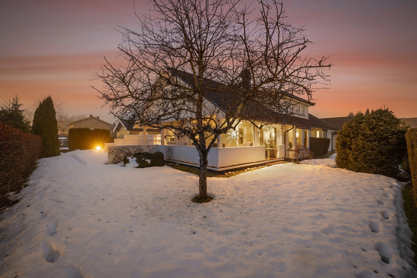 Hagen er stor med god boltreplass for både store og små - Omkranset av hekkebeplantning. Galleribilde