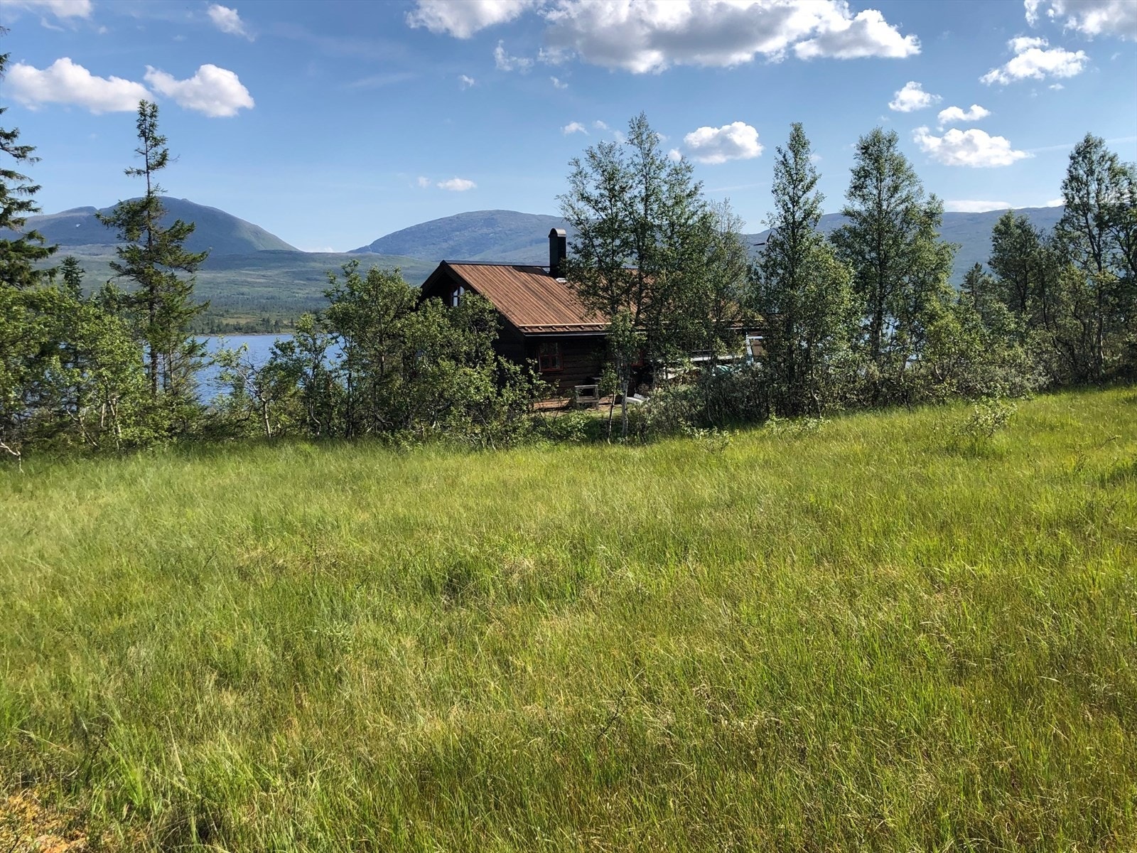 Frodig område rundt hytta. Galleribilde