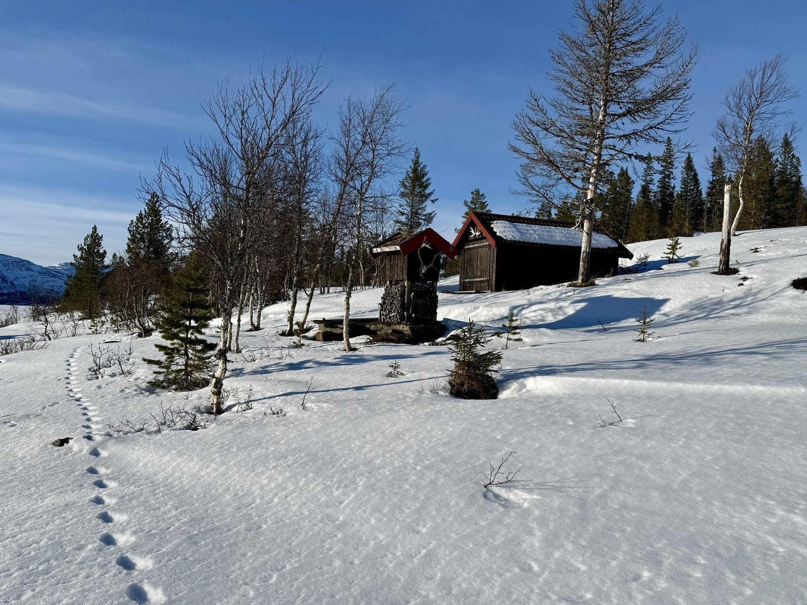 IMG_0891.jpeg Galleribilde