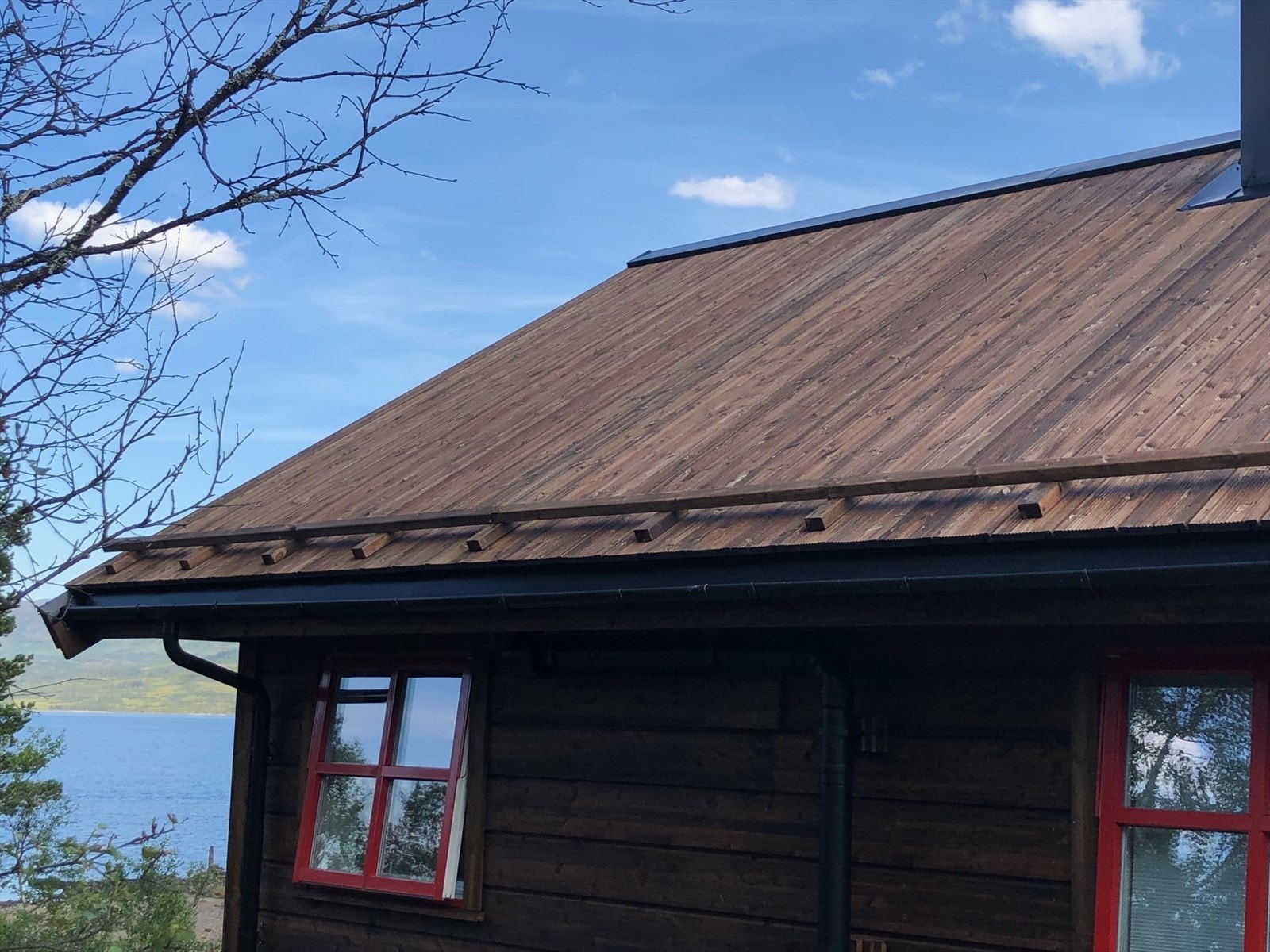 IMG_2210.jpg Galleribilde