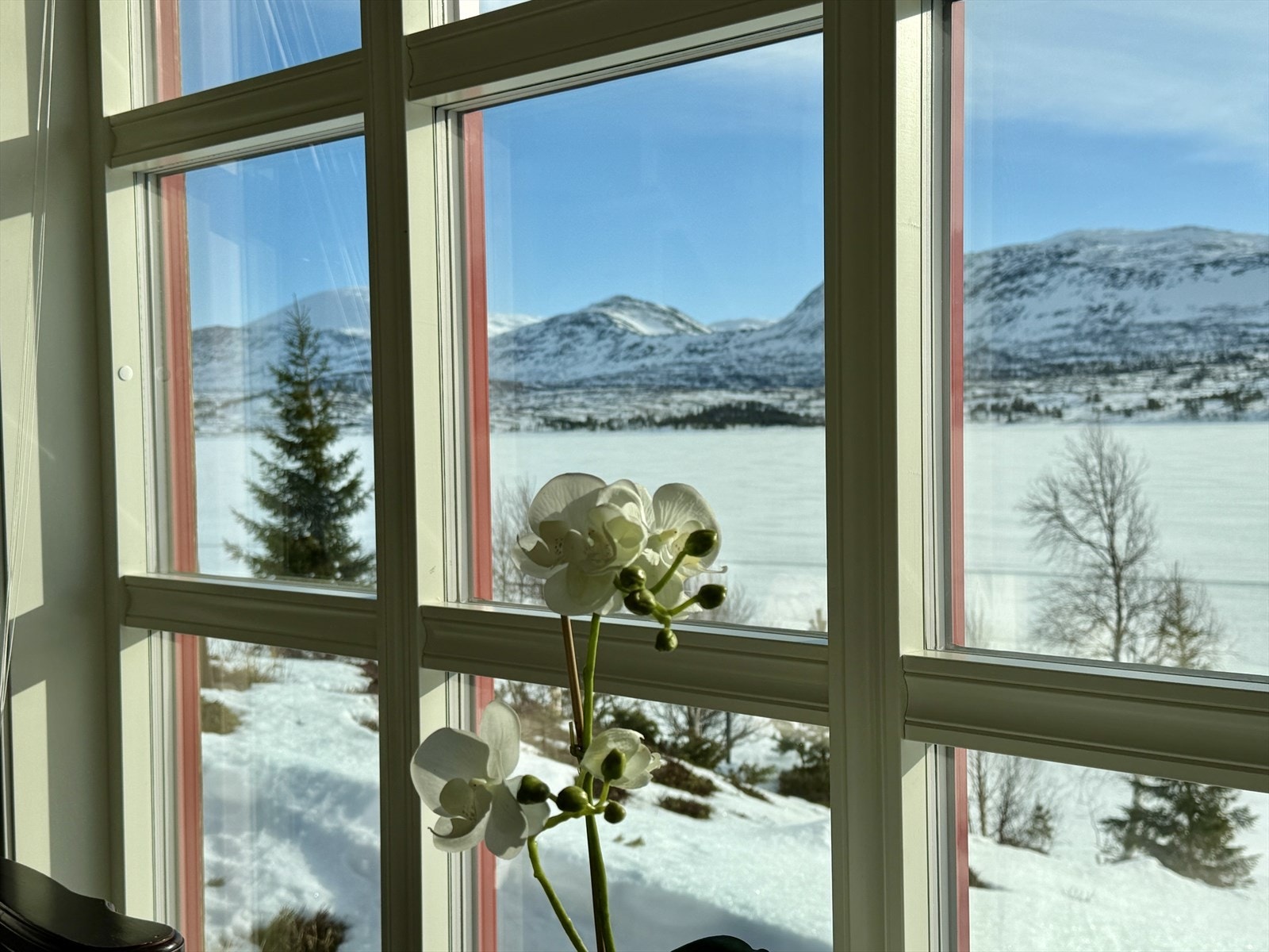 Utsikt mot Hatt'n, Sukkertoppen og Litj-Skjækerhatt'n. Galleribilde