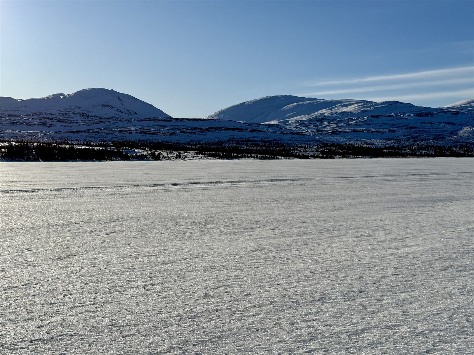 IMG_0889.jpeg Galleribilde