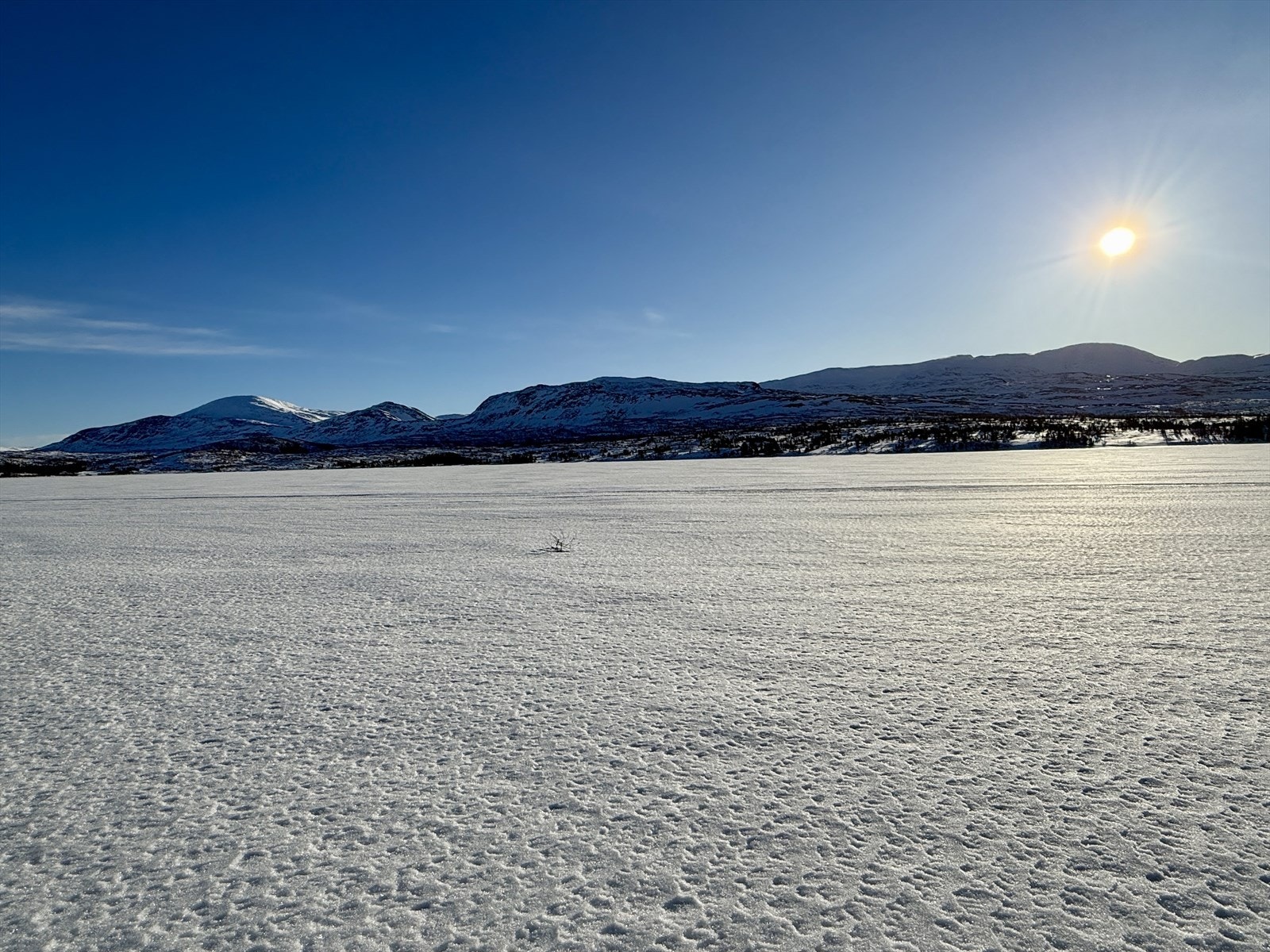 IMG_0890.jpeg Galleribilde