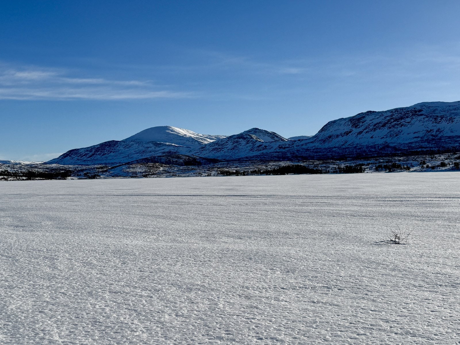 IMG_0888.jpeg Galleribilde