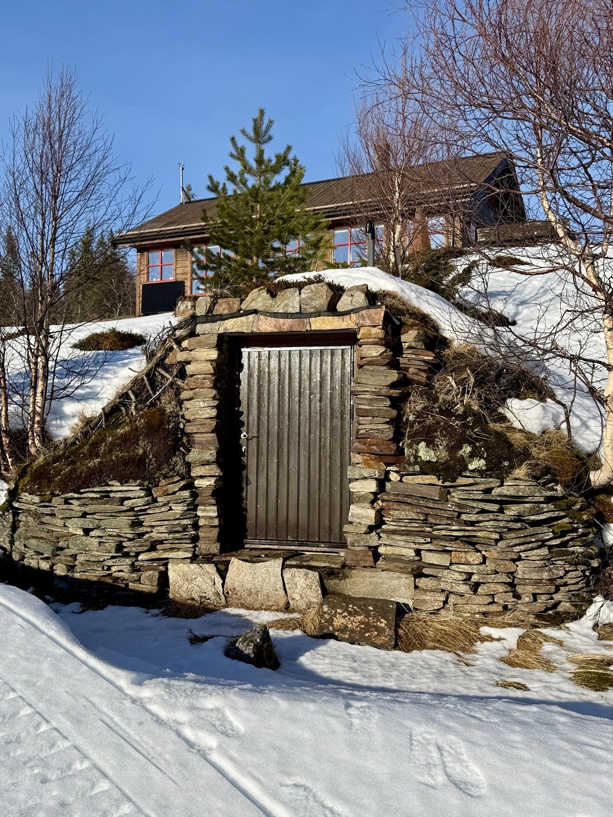 Jordkjeller. Galleribilde