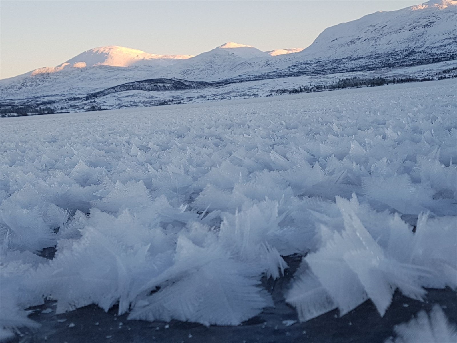 Naturfenomen på Skjækervatnet. Galleribilde