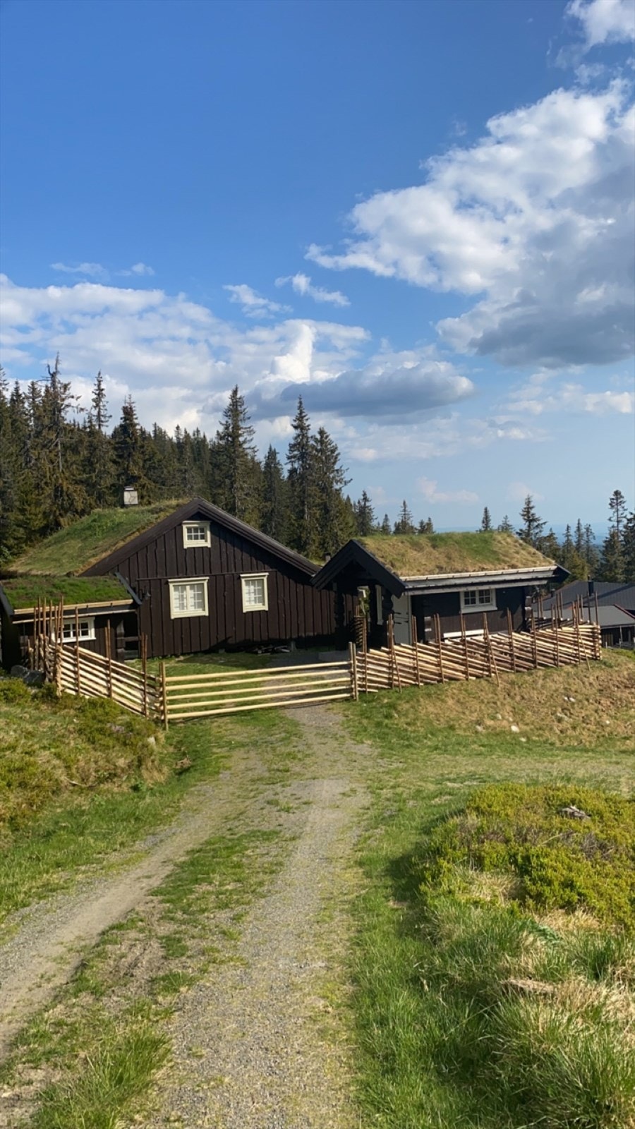 Privat foto. Galleribilde