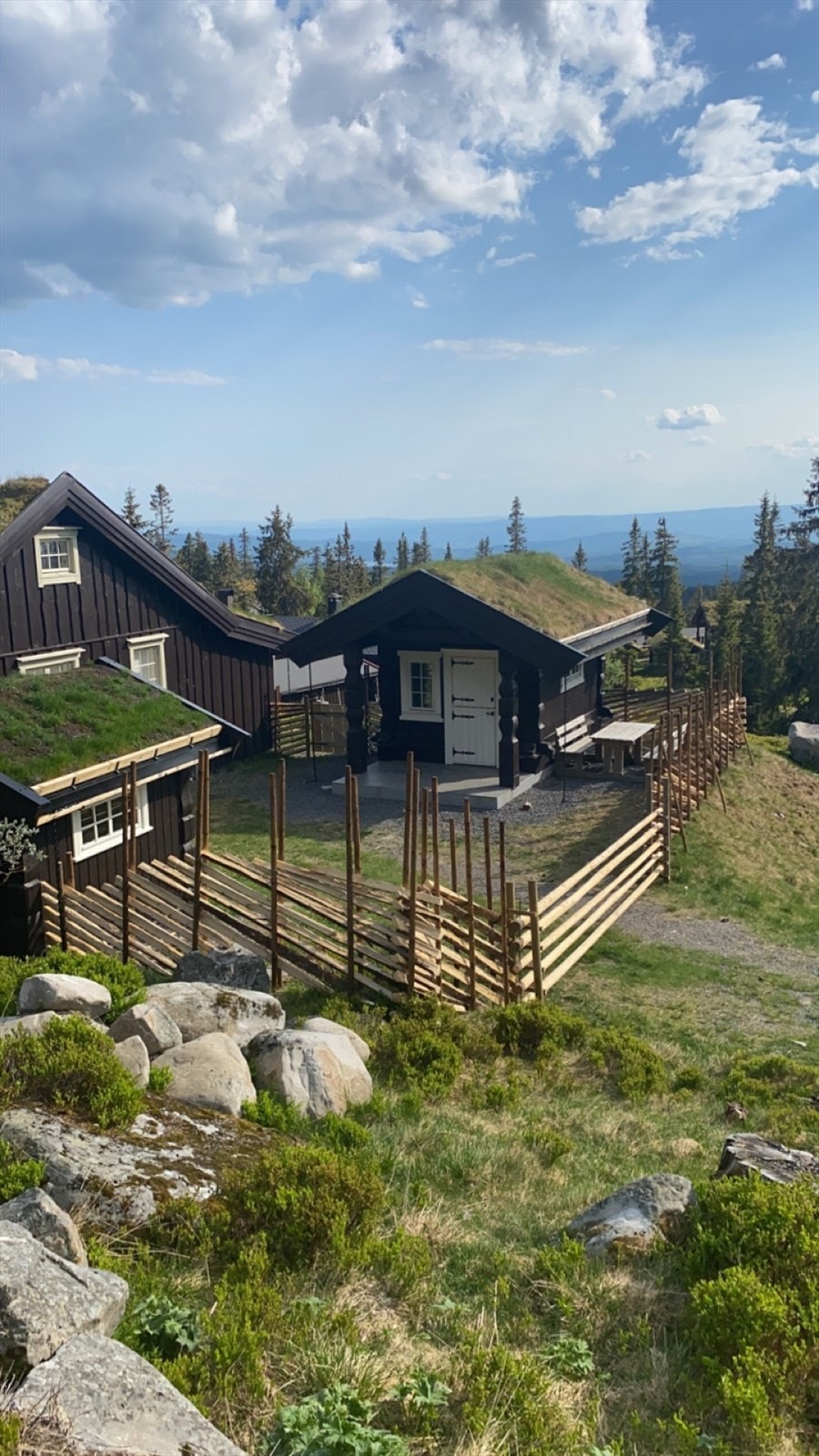 Privat foto. Galleribilde