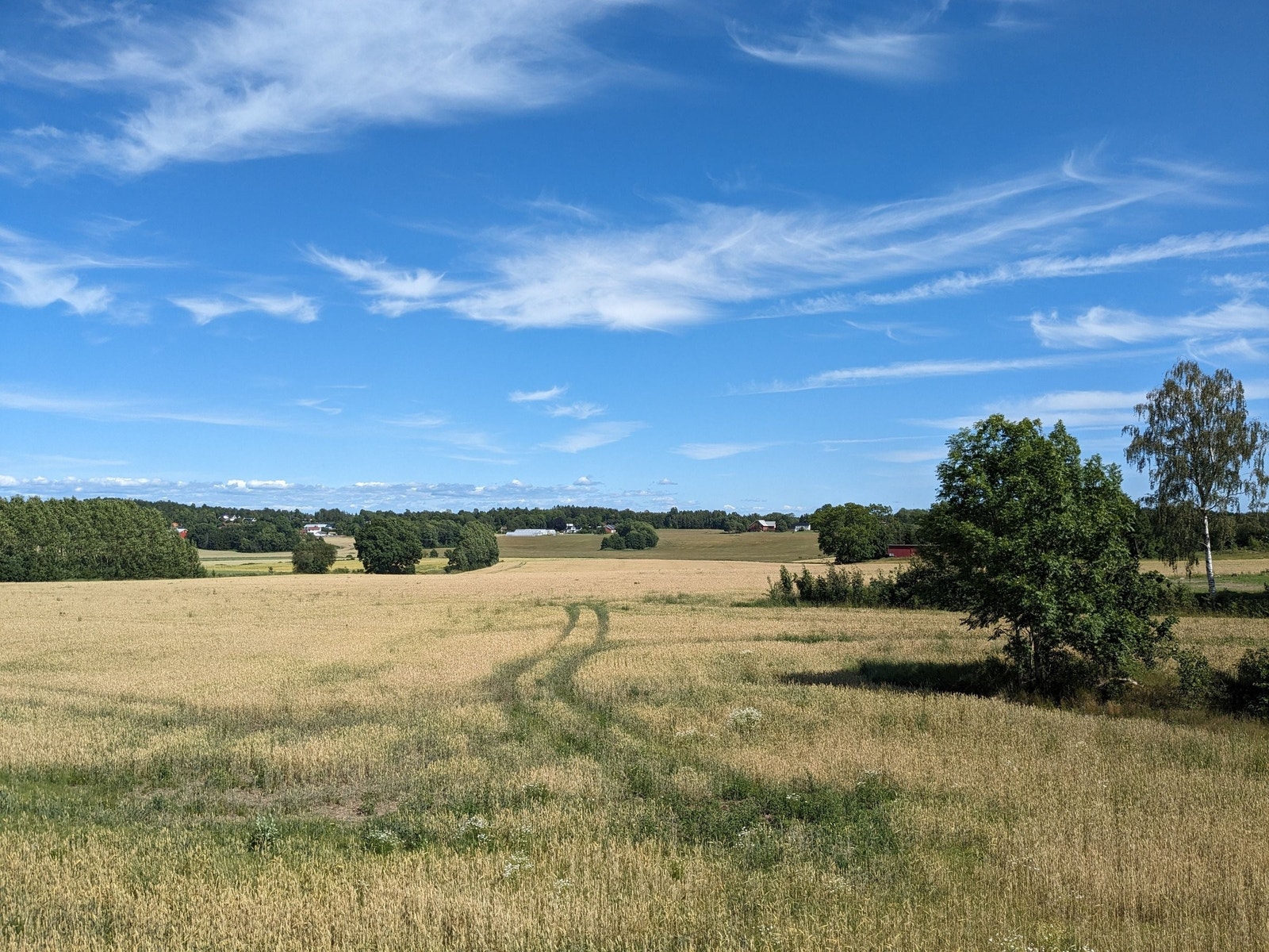 Utsikt over Slagendalen mot øst Galleribilde