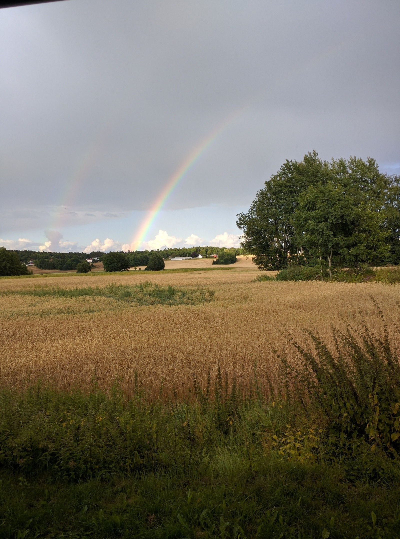 Julivær med regnbuer Galleribilde