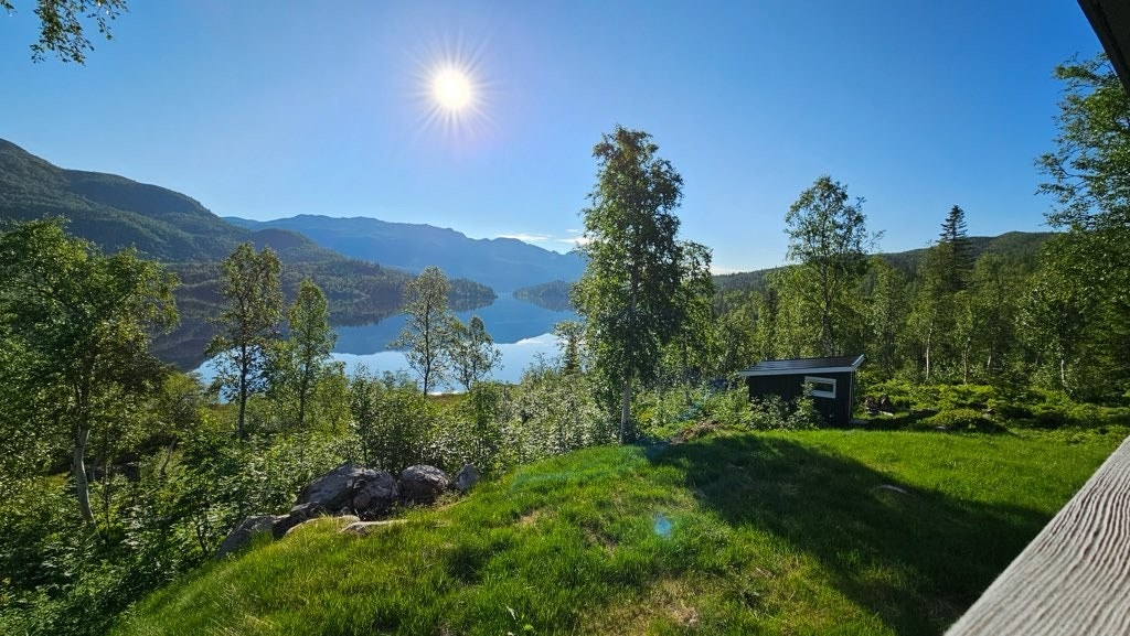 Privat bilde Galleribilde