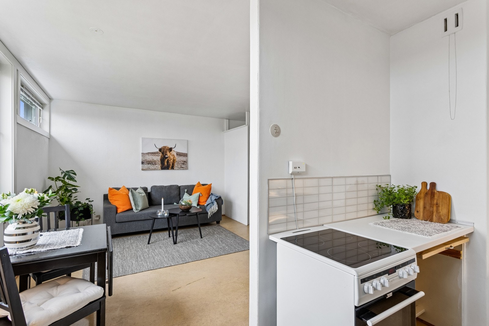 God planløsning med en separat sone til kjøkkenet. Galleribilde