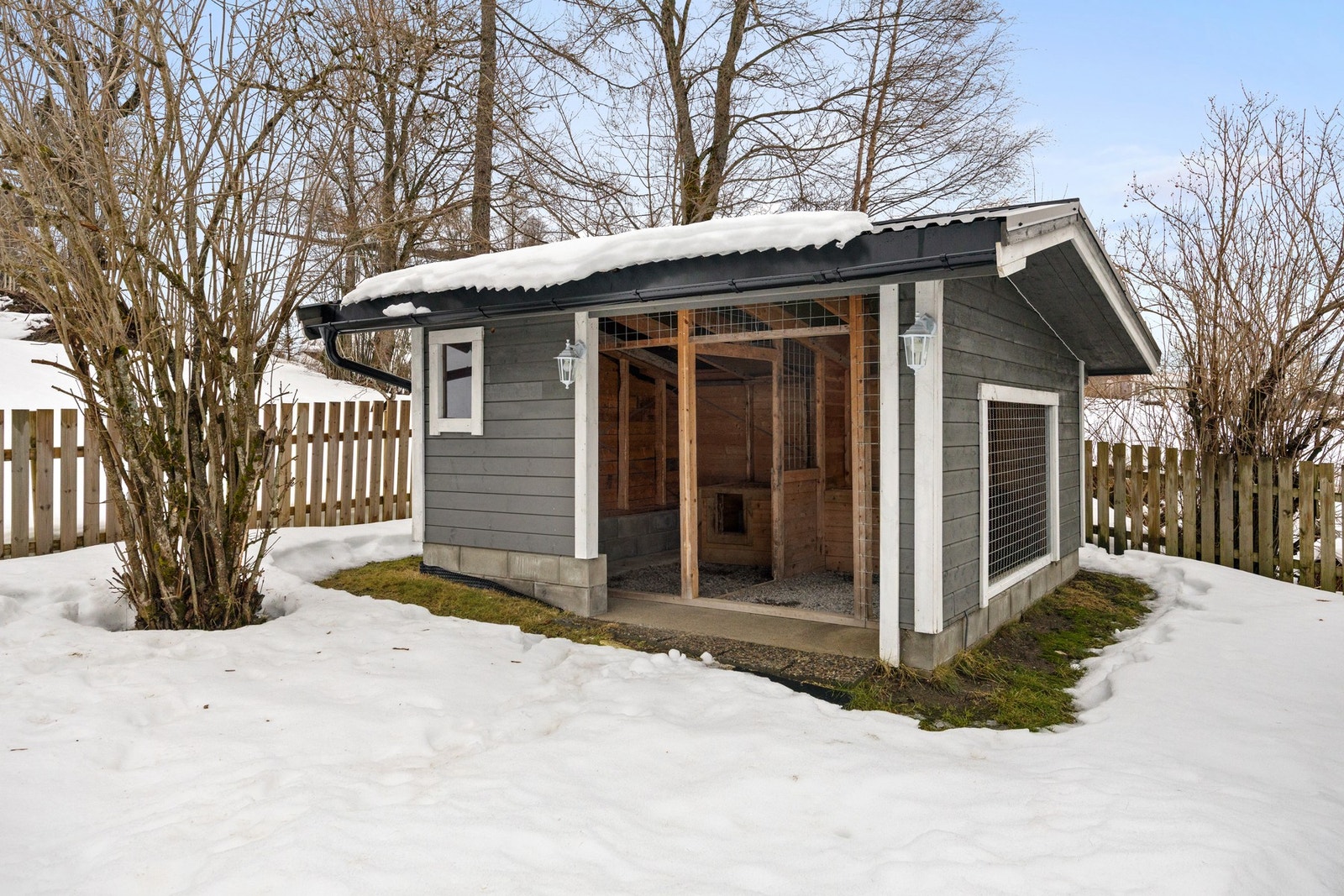 Uthus/hundetrø Galleribilde