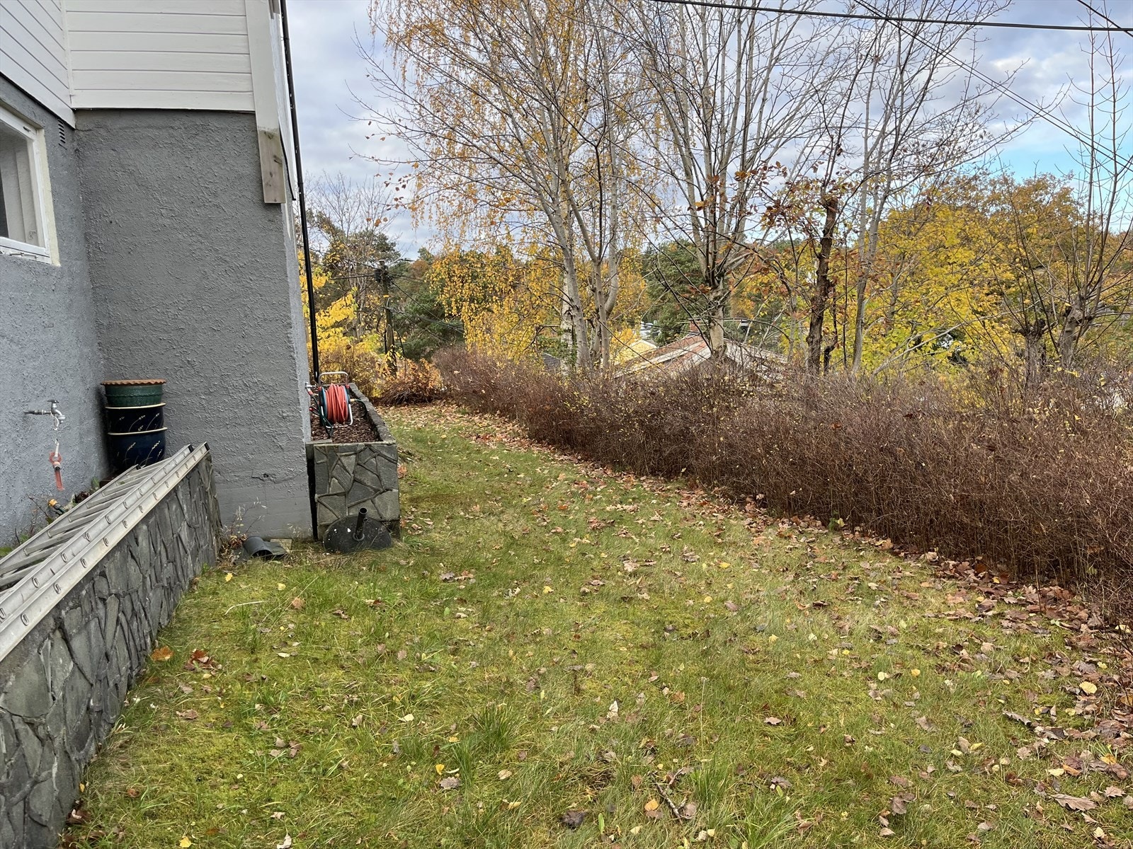 Plenareal med hekk på boligens bakside. Galleribilde