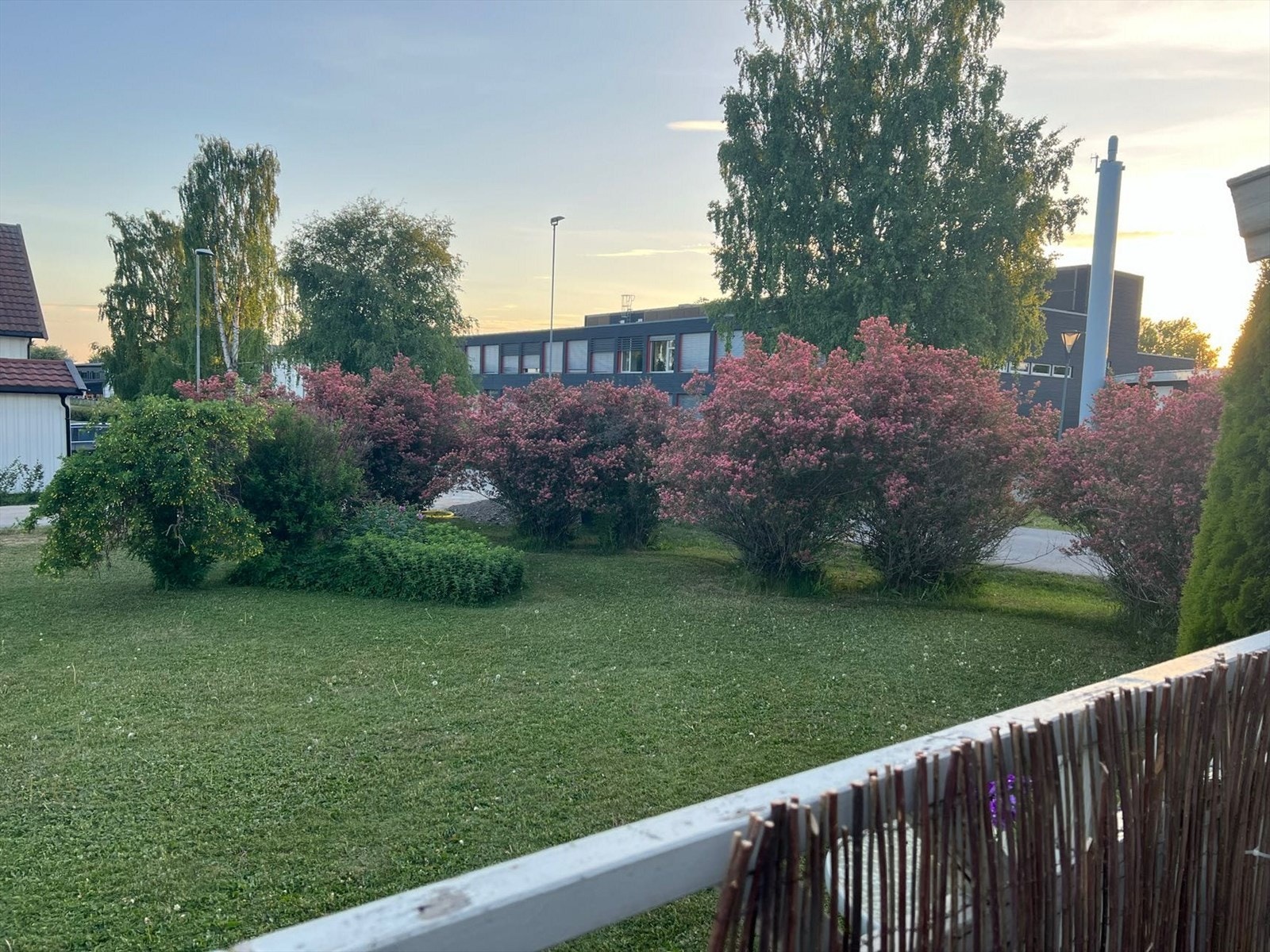 Selgers private bilde Galleribilde