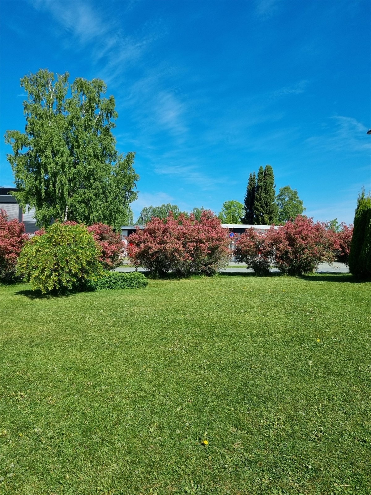 Selgers private bilde Galleribilde