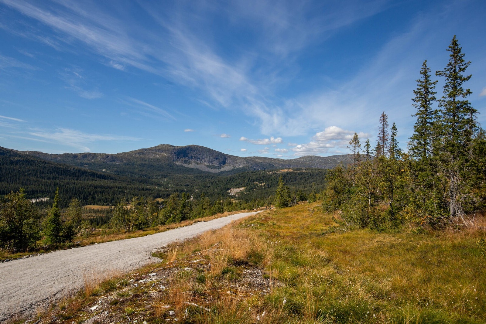 Foto fra tomteområdet Galleribilde