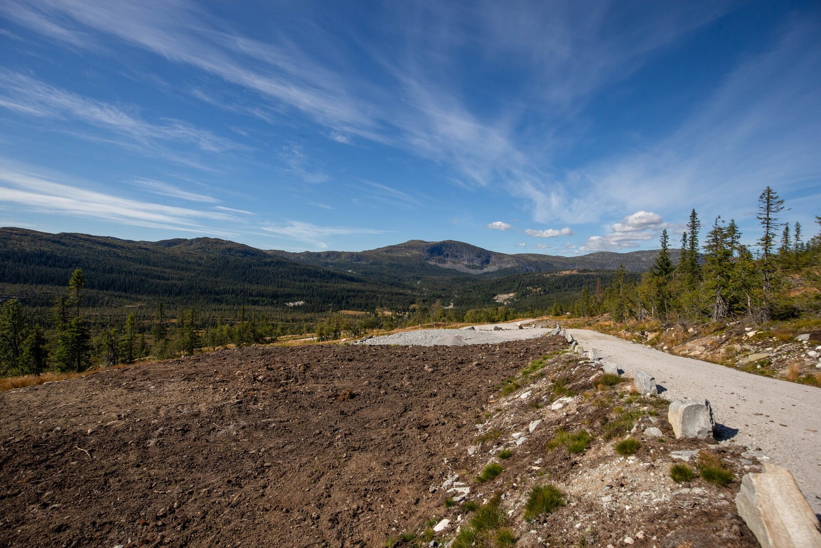Foto fra tomteområdet Galleribilde