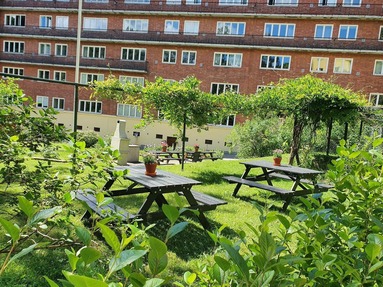 Den frodige og velstelte bakgården byr på grønne gressflater med pen beplantning. Galleribilde