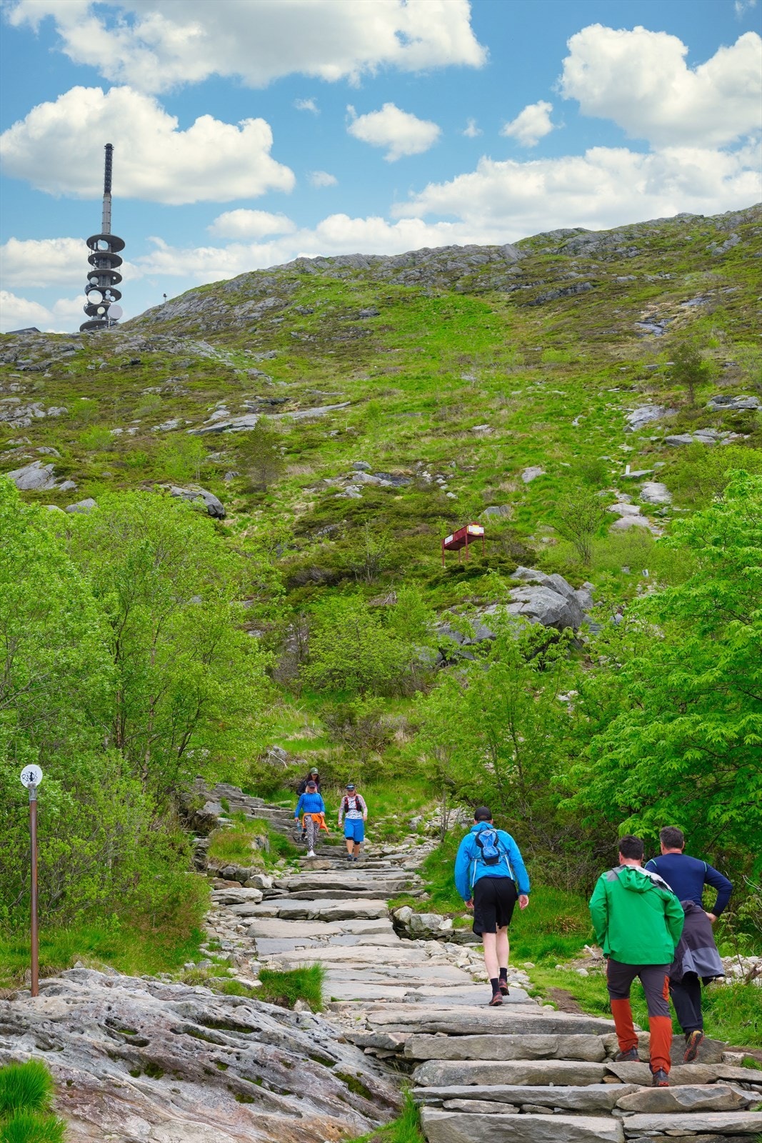 For den turglade er beliggenheten ideell. Galleribilde