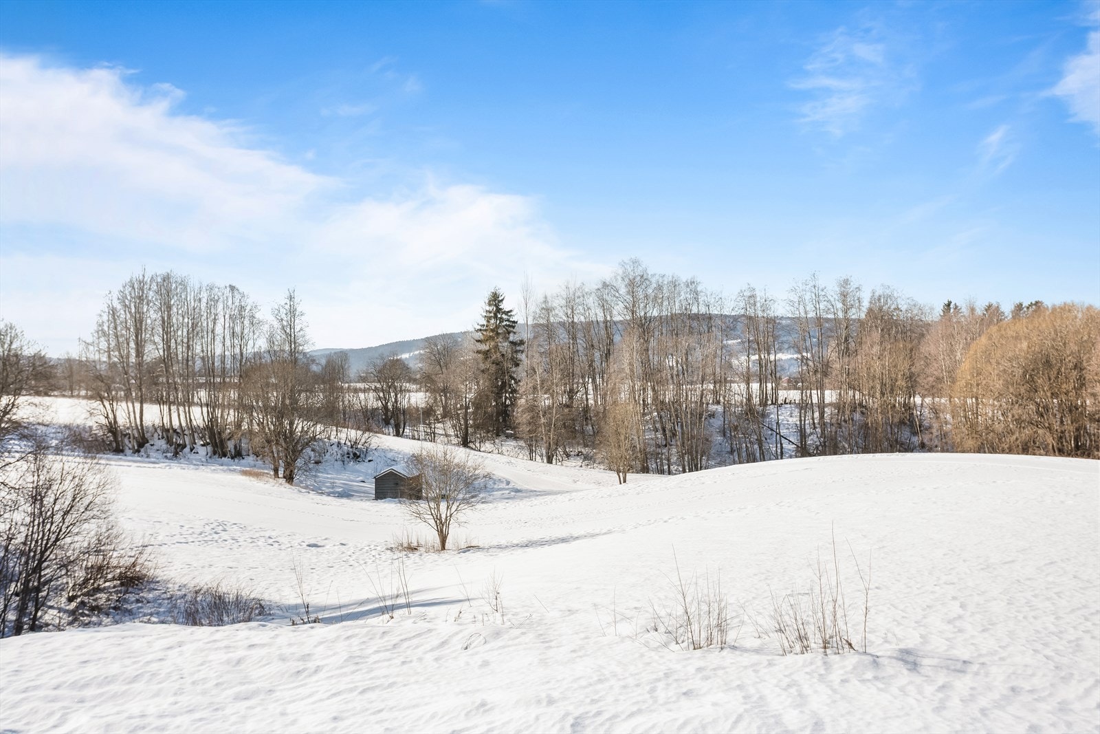 Eiendommen ligger i et område med umiddelbar nærhet til skog og mark, med flotte turmuligheter året rundt. Galleribilde