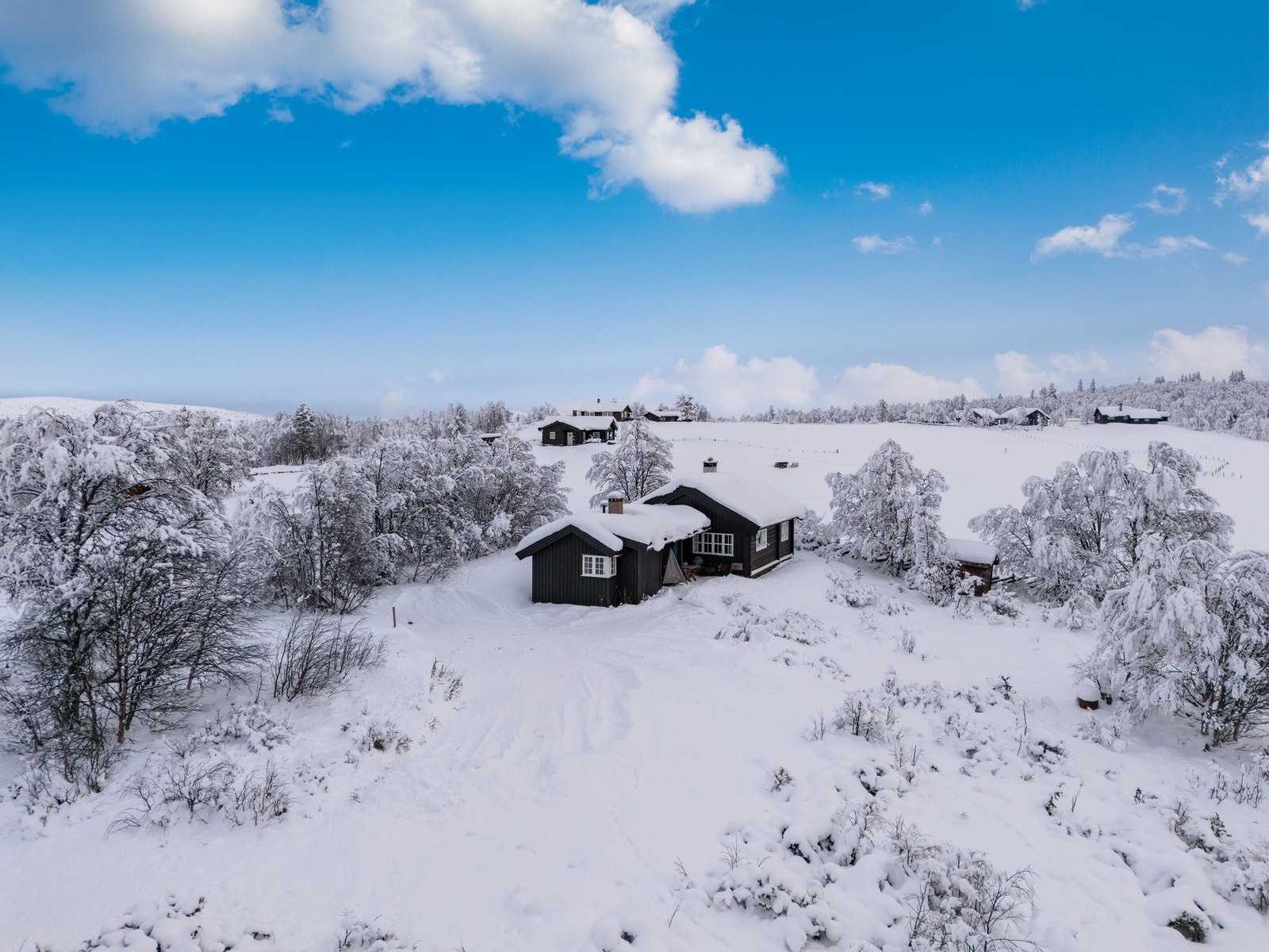 Velkommen til fjells og på visning! Galleribilde