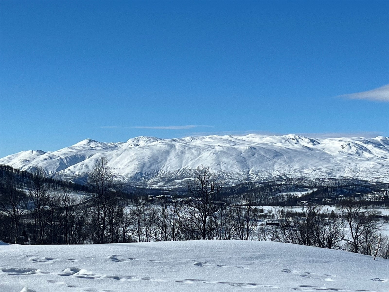 Utsikt silkedalsporten.jpg Galleribilde