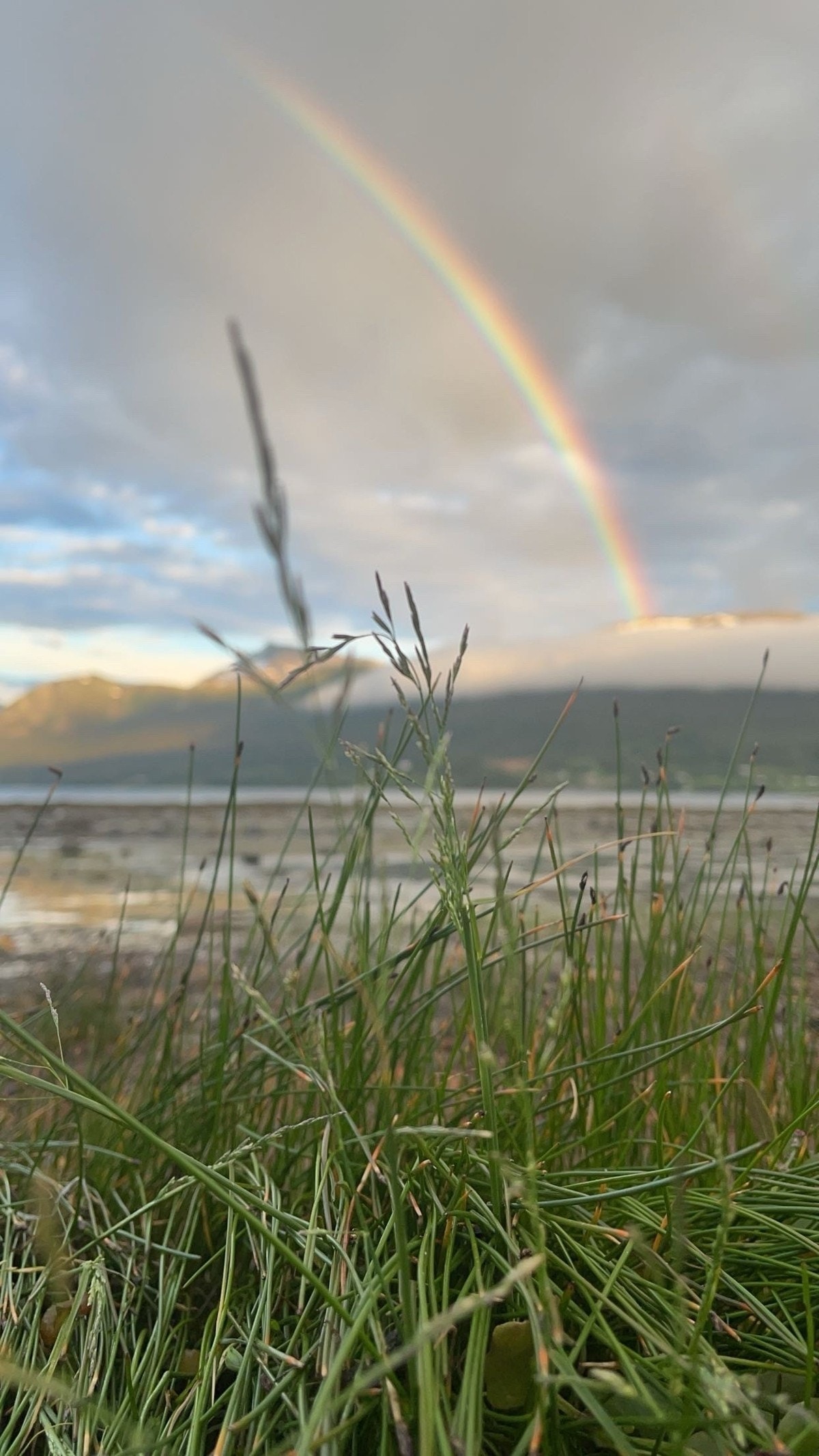 Eiendommen er plassert like ved sjøen Galleribilde