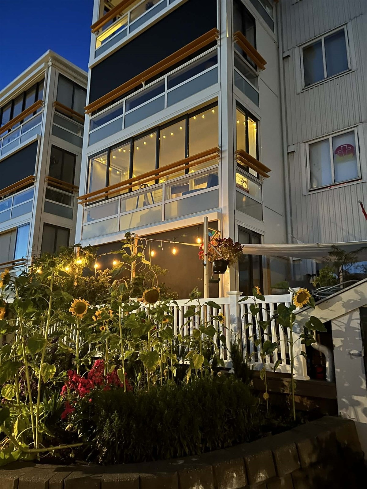 Hyggelig, grønne gangstier om sommeren. (Selgers bilde) Galleribilde