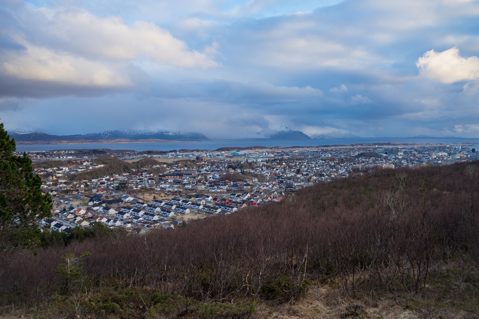 Bydelen Vollen i Rønvik sett fra hotellet the wood - Eiendommen har kort vei til marka med flott turstier og lysløype Galleribilde