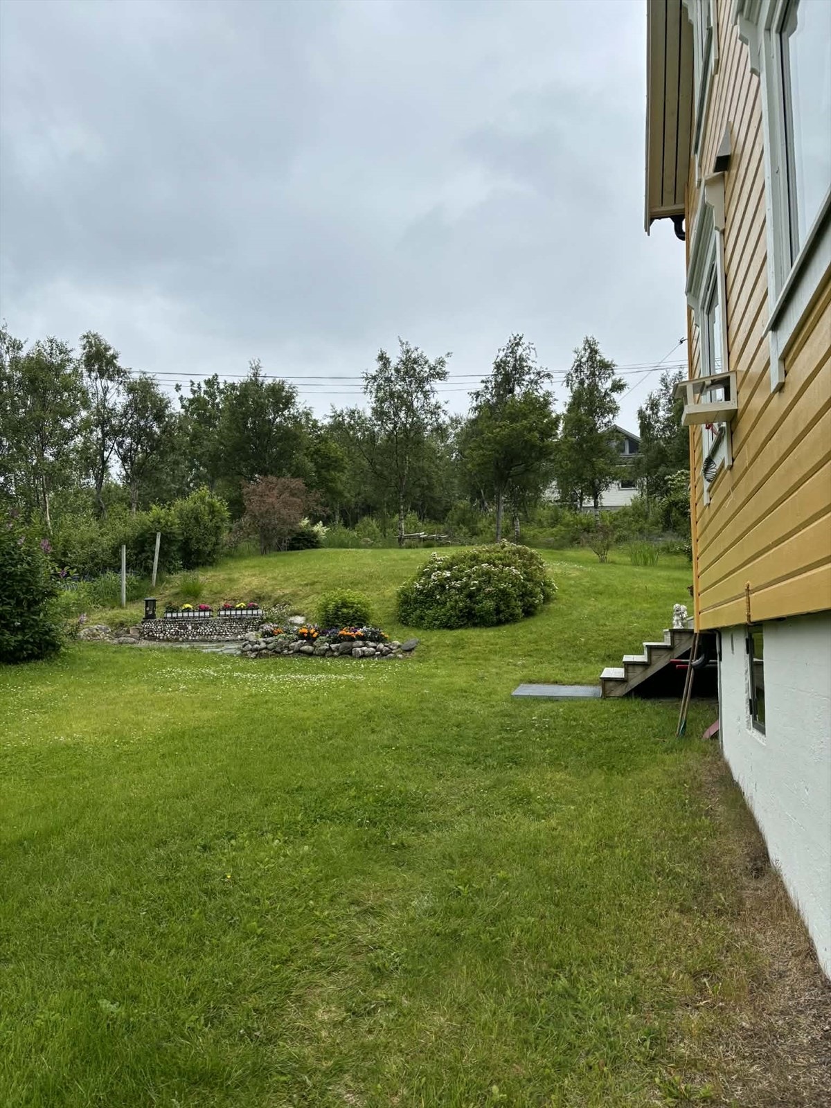 Selgers eget bilde. Galleribilde