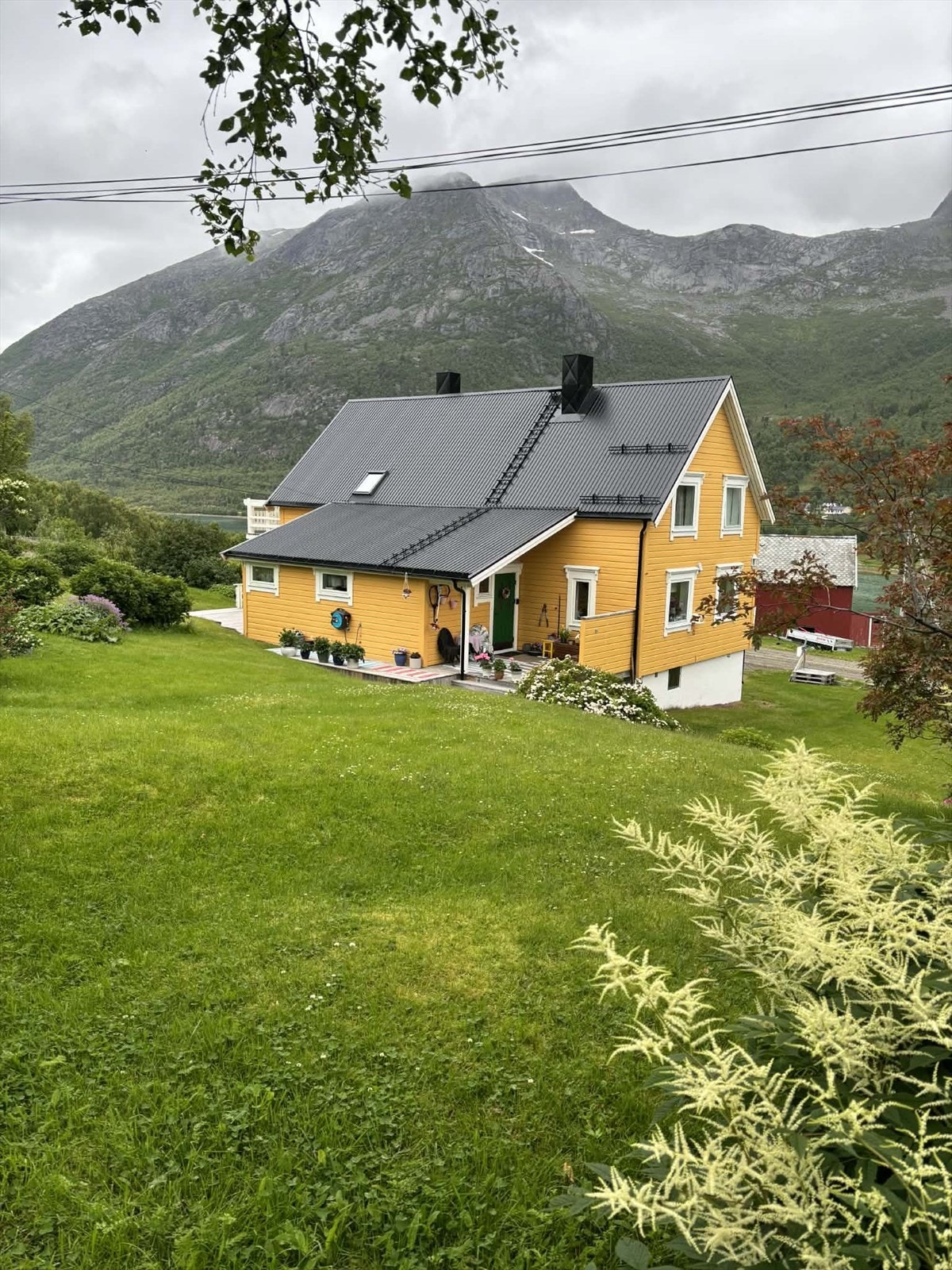 Selgers eget bilde. Galleribilde