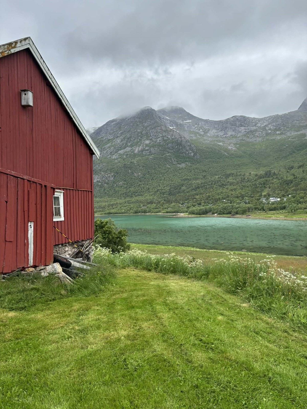 Selgers eget bilde. Galleribilde