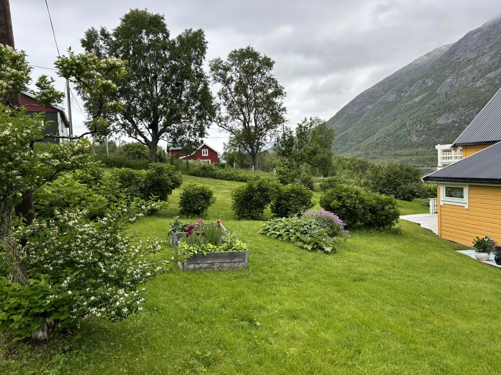 Selgers eget bilde. Galleribilde