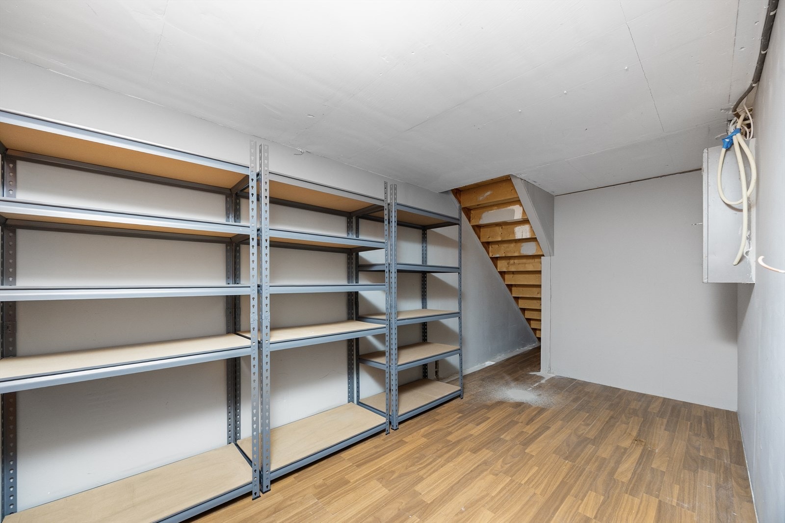 Det er godt med lagringsplass i kjellerboden. Her er også sikringsskapet plassert. Galleribilde