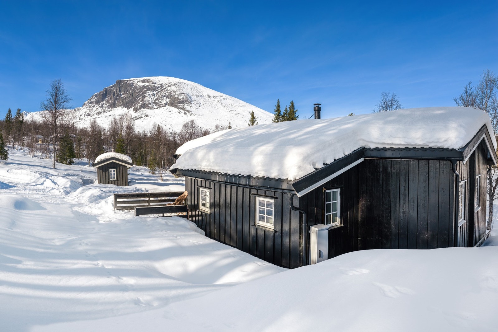 Flott utsikt mot Skogshorn Galleribilde