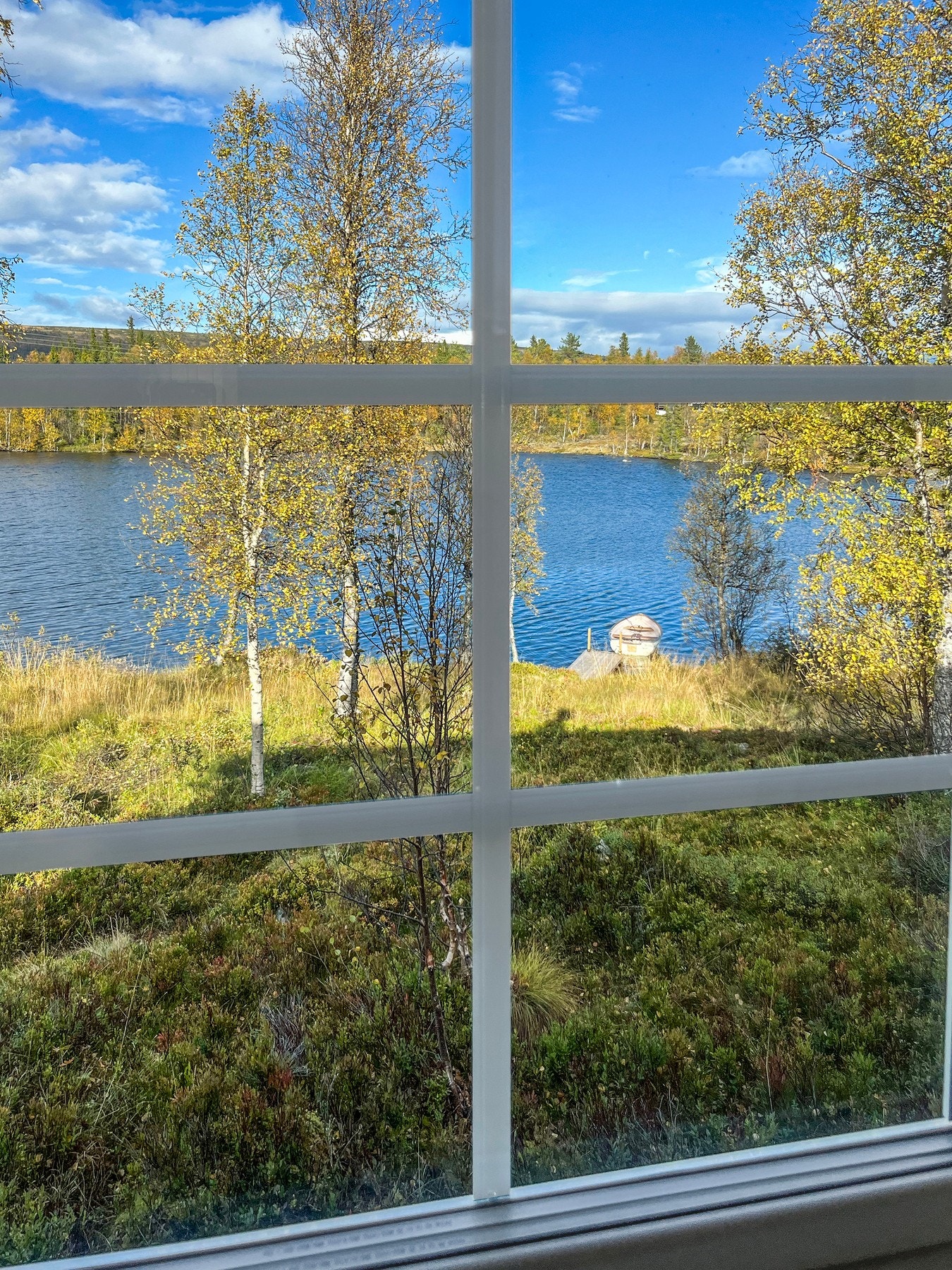 Nyt denne utsikten med en kaffekopp sommerstid. Galleribilde
