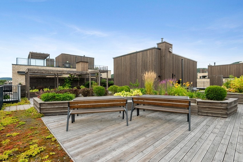 Fra en av borettslagets takterrasser sommerstid Galleribilde